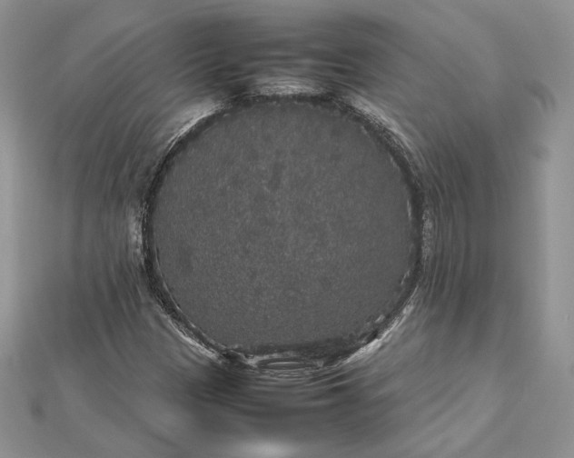 X0000112471305200908311341