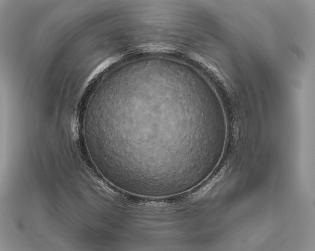 X0000112471306200908311341