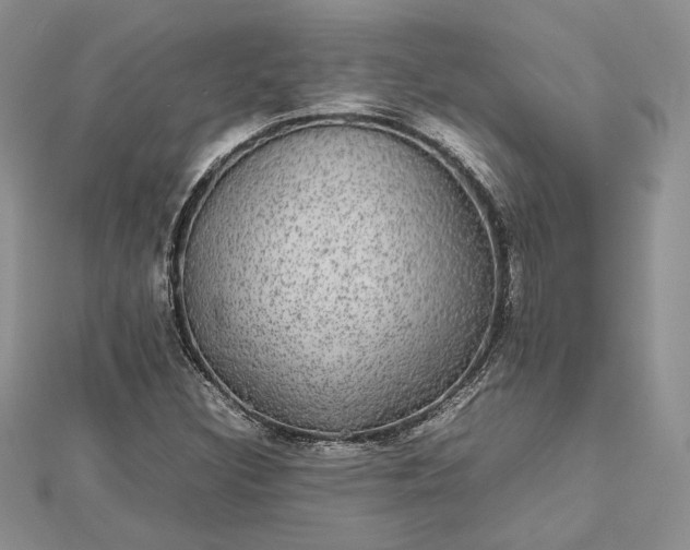 X0000112471308200908311341