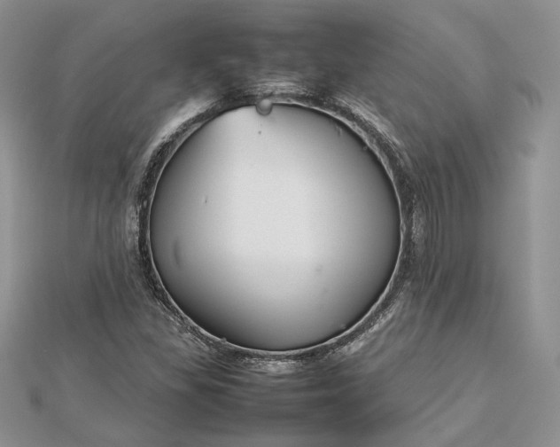 X0000112471309200908311341