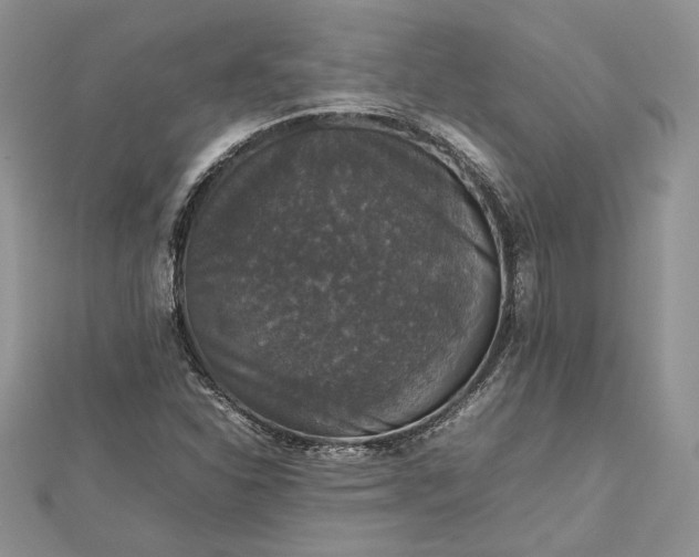 X0000112471310200908311341