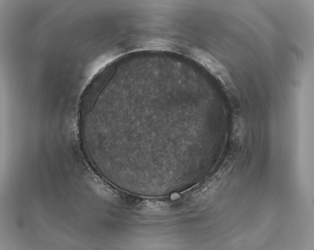 X0000112471312200908311341