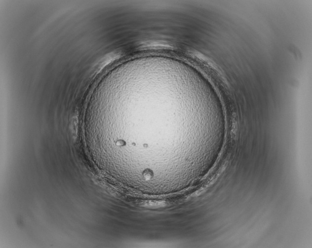 X0000112471313200908311341