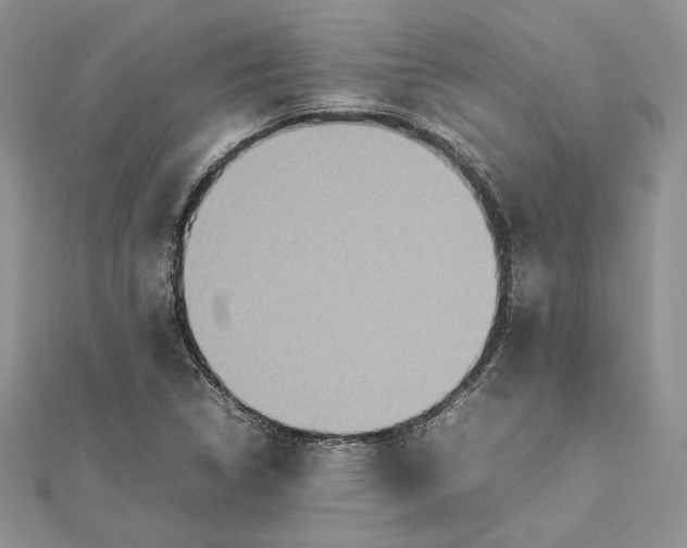 X0000112471314200908311341