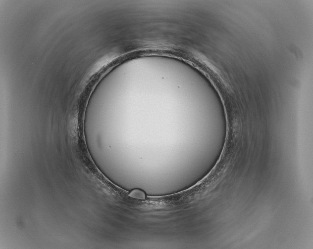 X0000112471315200908311341