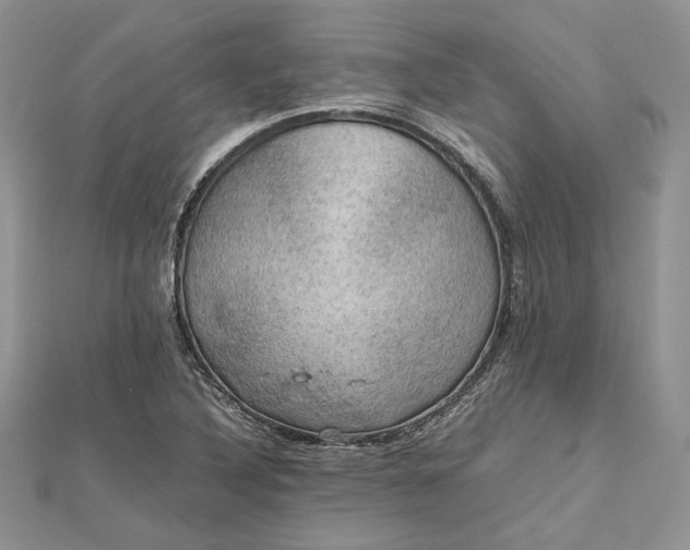 X0000112471316200908311341