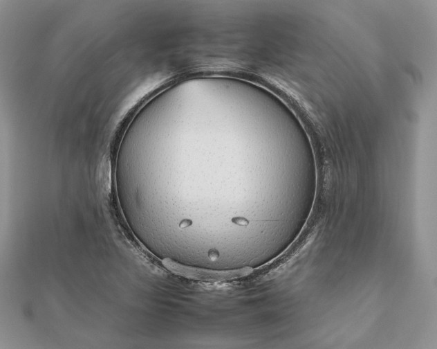 X0000112471317200908311341