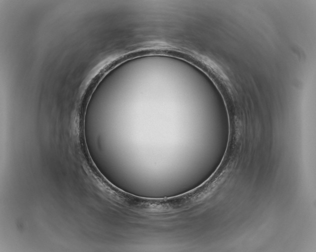 X0000112471318200908311341