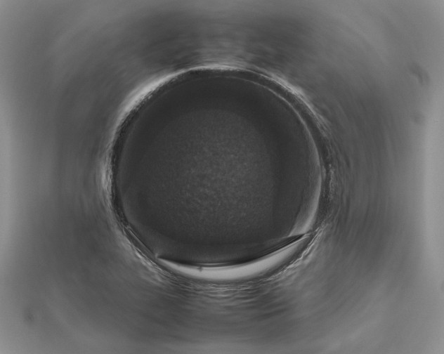 X0000112471319200908311341