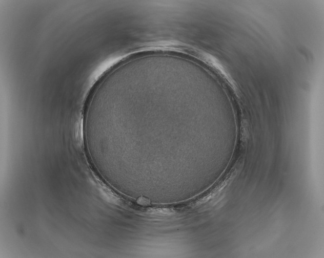 X0000112471320200908311341