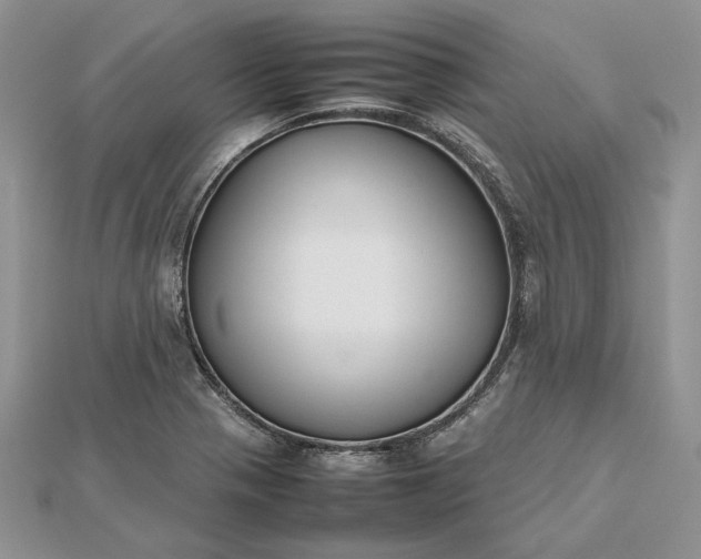 X0000112471321200908311342