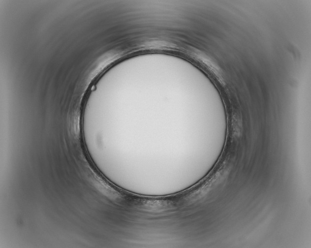 X0000112471322200908311342