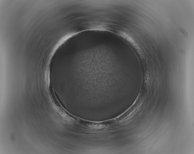 X0000112471323200908311342