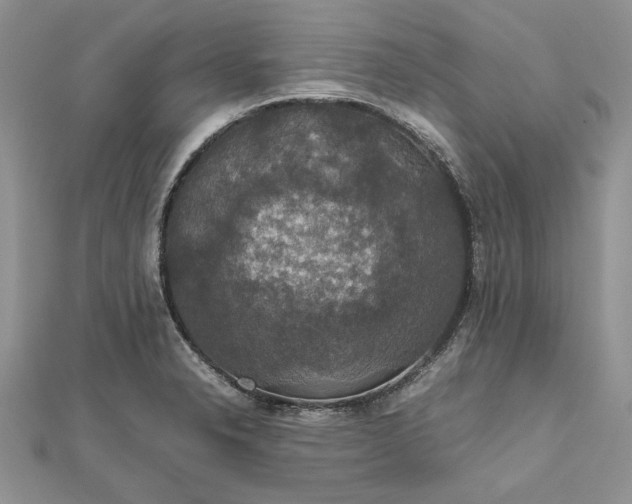 X0000112471326200908311342