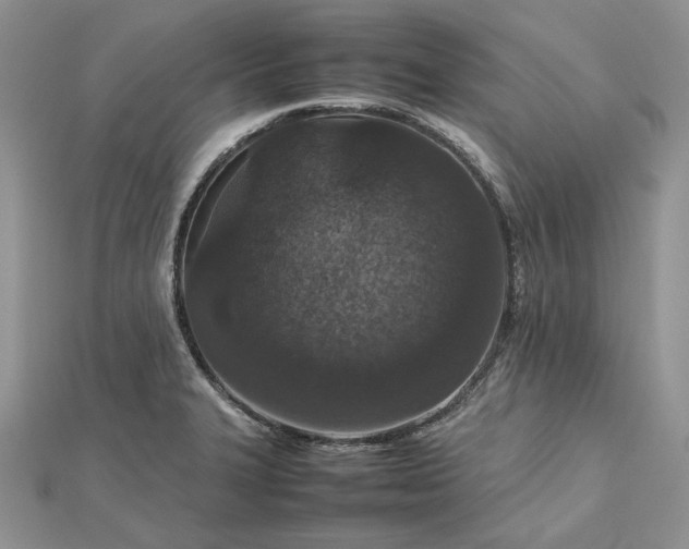 X0000112471327200908311342