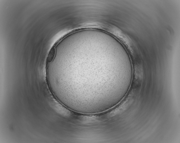 X0000112471328200908311342