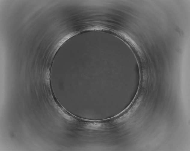 X0000112471329200908311342