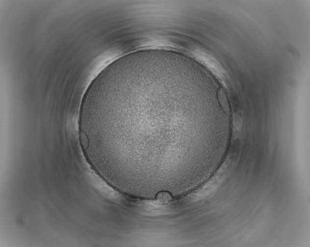 X0000112471330200908311342