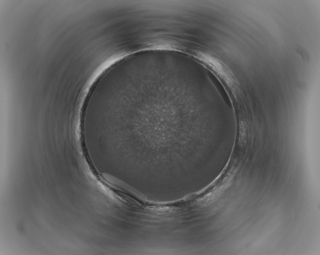 X0000112471331200908311342