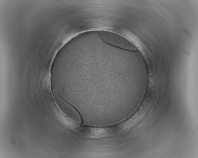 X0000112471332200908311342