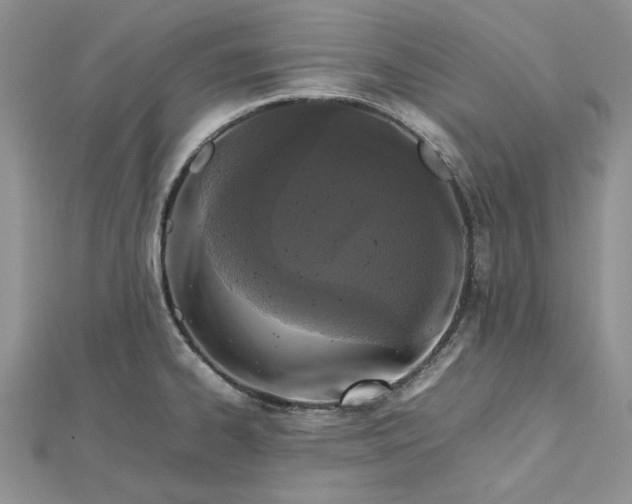 X0000112471334200908311342