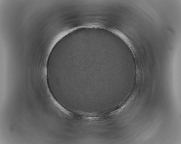 X0000112471335200908311342