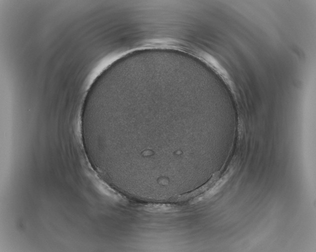 X0000112471336200908311342