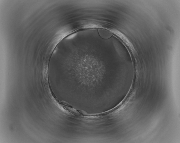 X0000112471337200908311342