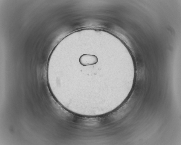 X0000112471338200908311342