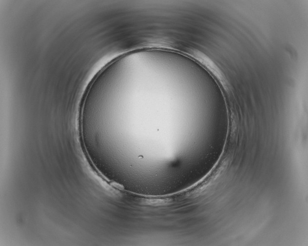 X0000112471339200908311342