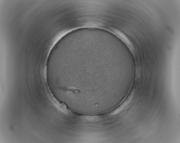 X0000112471340200908311342