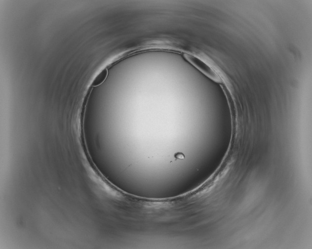 X0000112471341200908311342