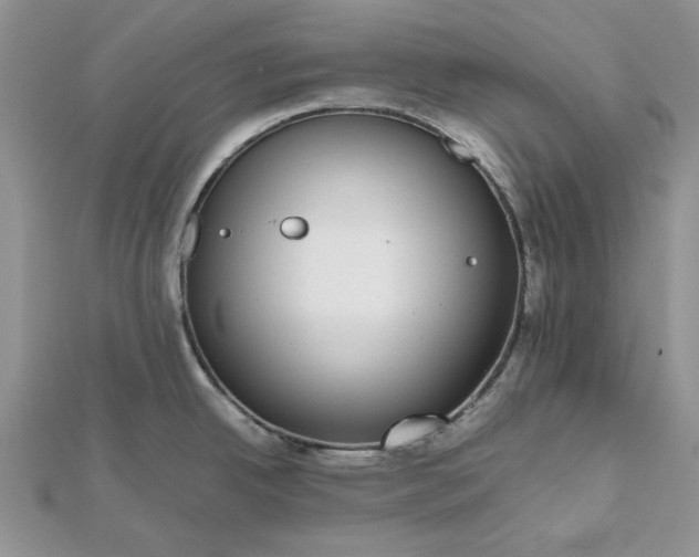 X0000112471342200908311342