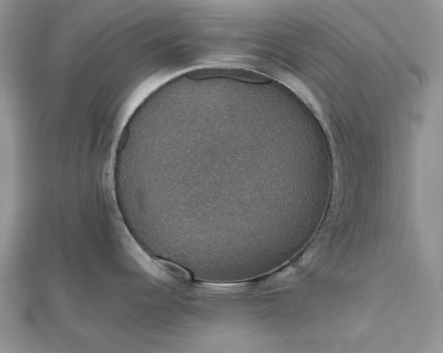 X0000112471344200908311342