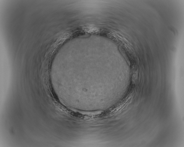 X0000112471345200908311341