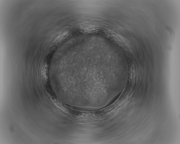 X0000112471346200908311341