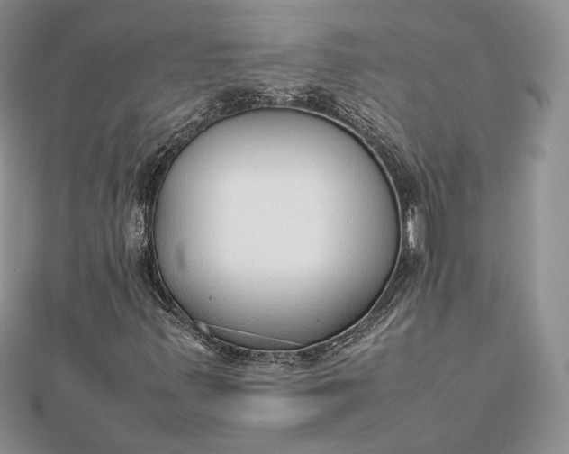 X0000112471347200908311341