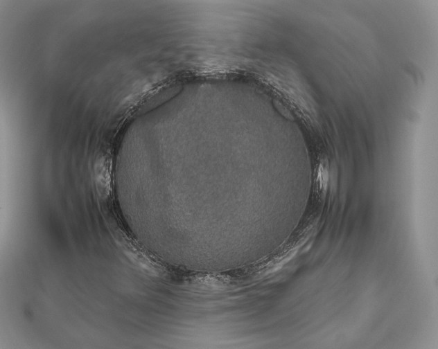 X0000112471348200908311341