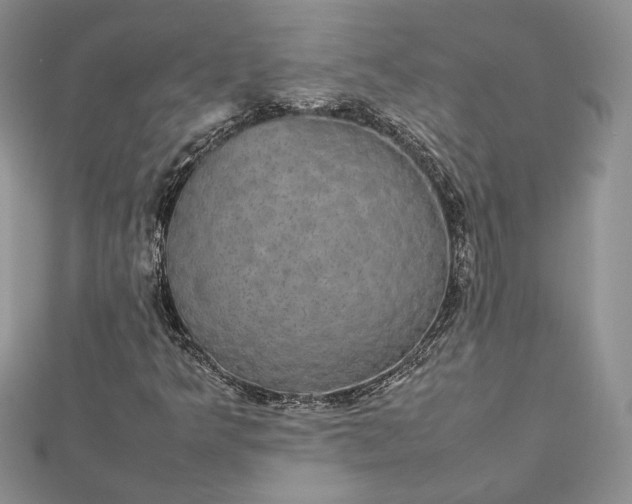 X0000112471349200908311341