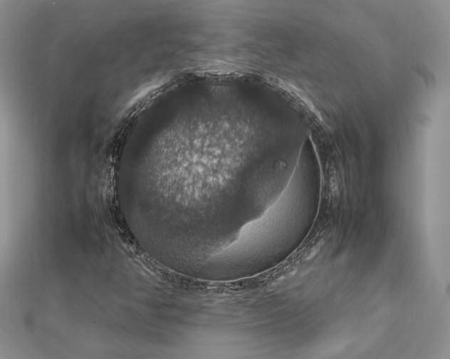 X0000112471350200908311341