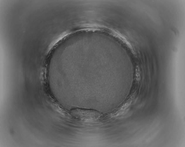 X0000112471352200908311341