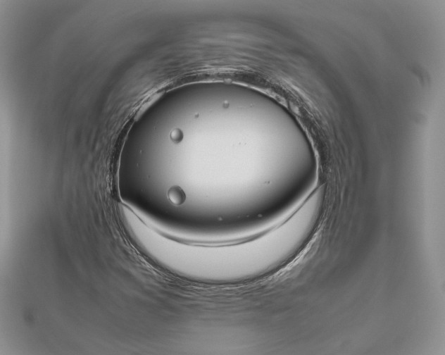 X0000112471353200908311341