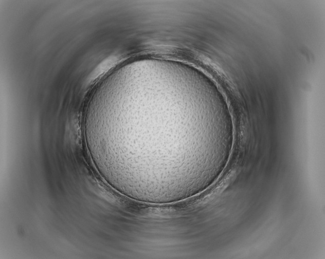 X0000112471354200908311341