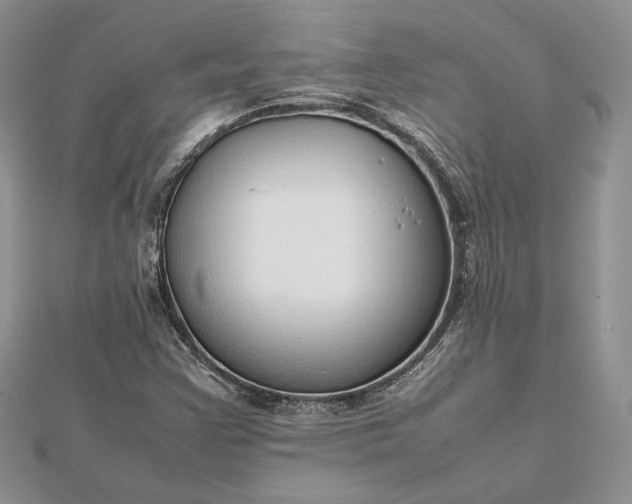 X0000112471355200908311341