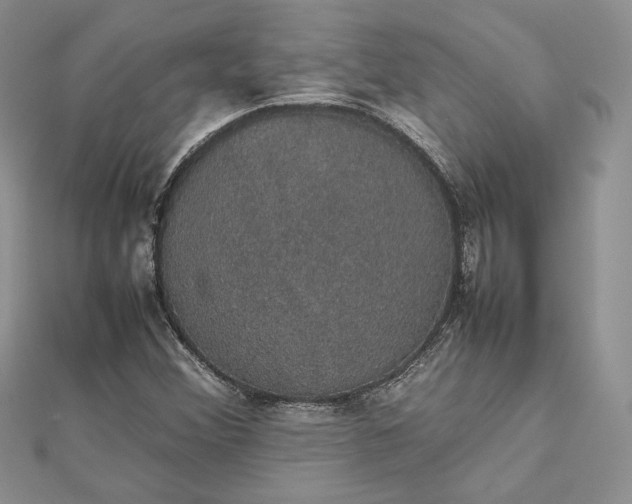 X0000112471356200908311341