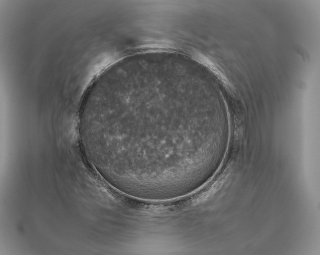 X0000112471357200908311341