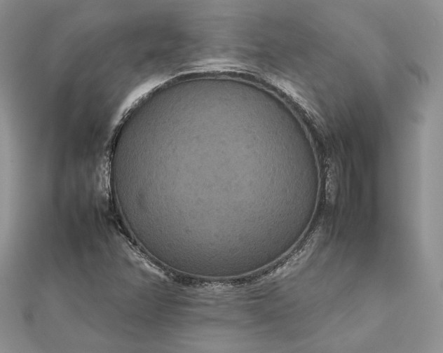 X0000112471358200908311341