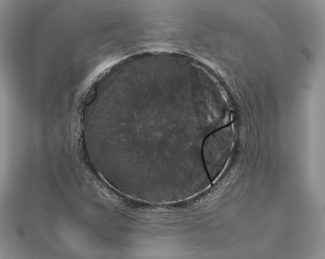 X0000112471359200908311341