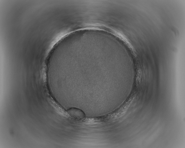 X0000112471360200908311341