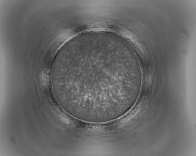 X0000112471361200908311341